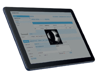 DATA MANAGEMENT SOFTWARE/EMR - Image 2
