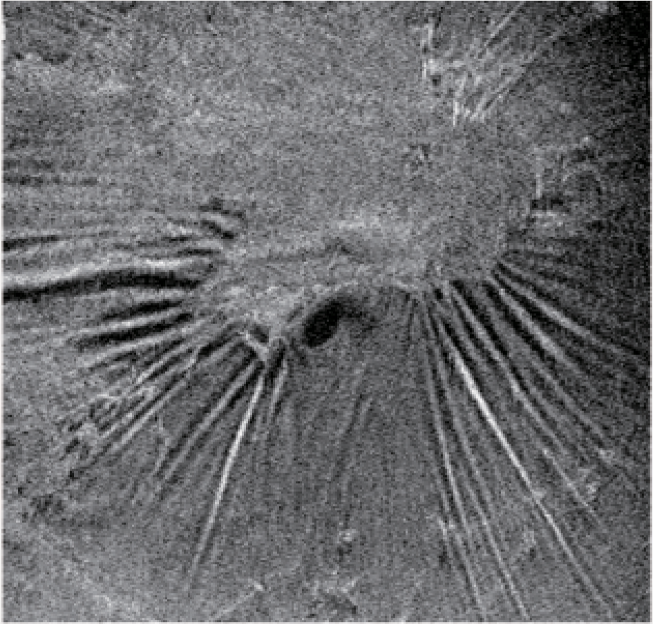 WRMT VELITE C1000 - Artificial Intelligence OCT/A - Image 14
